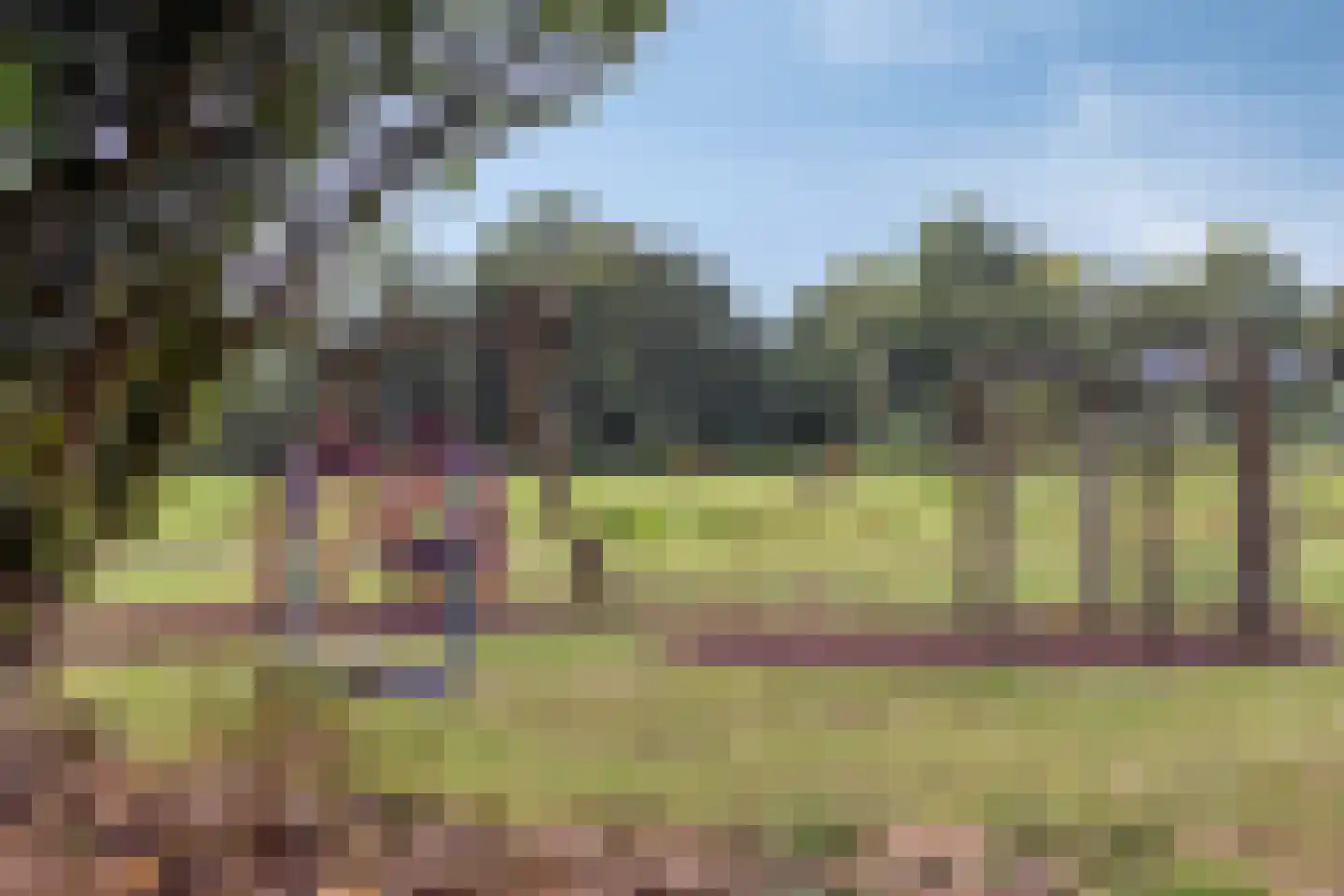 Tirol 72 Utrecht thumbnail 40