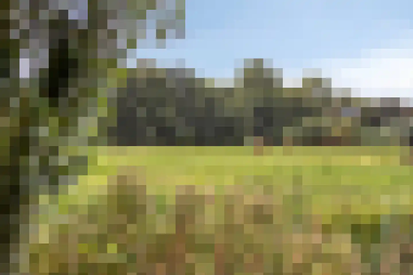 Tirol 72 Utrecht thumbnail 41