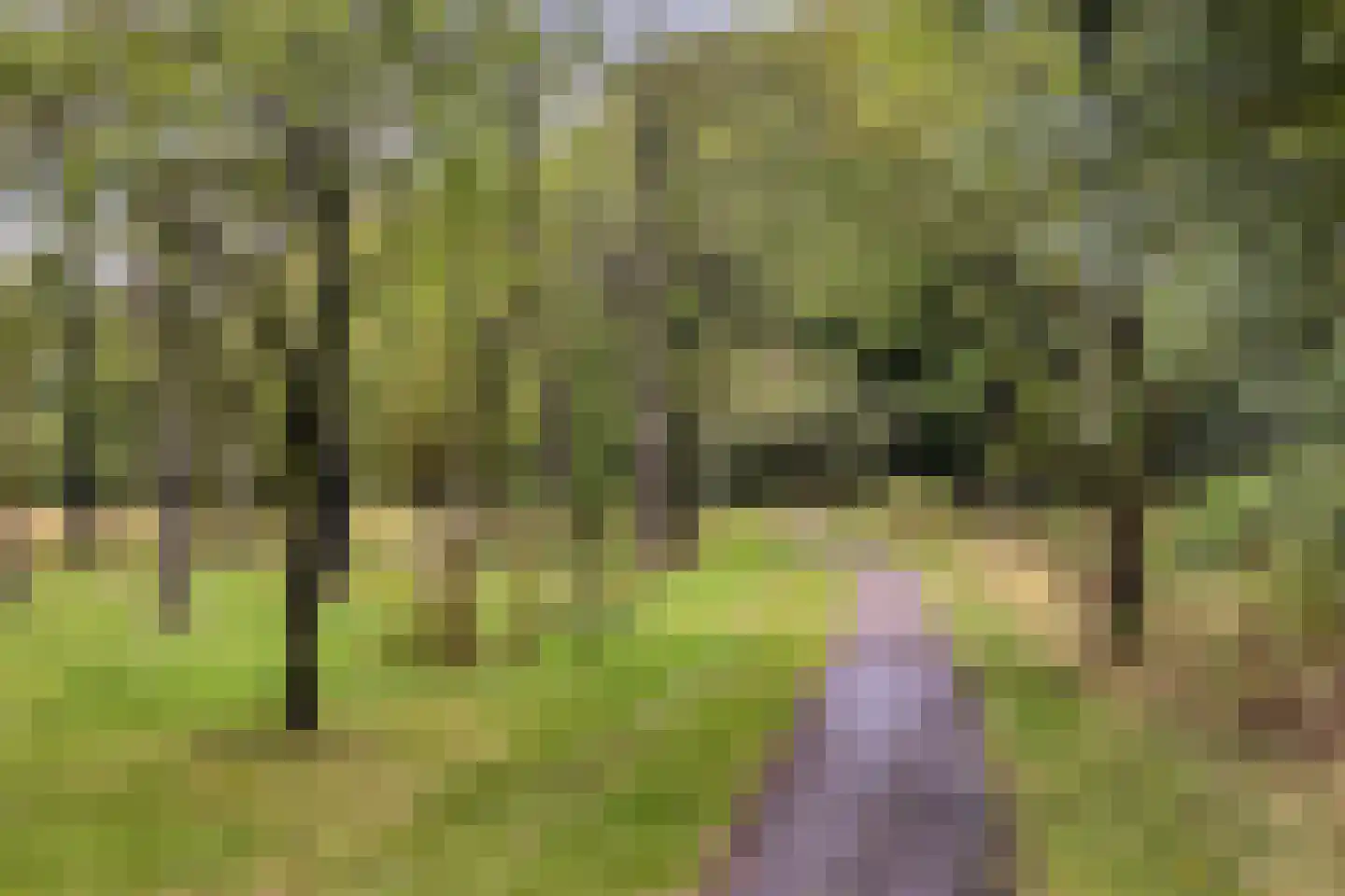 Tirol 72 Utrecht thumbnail 42