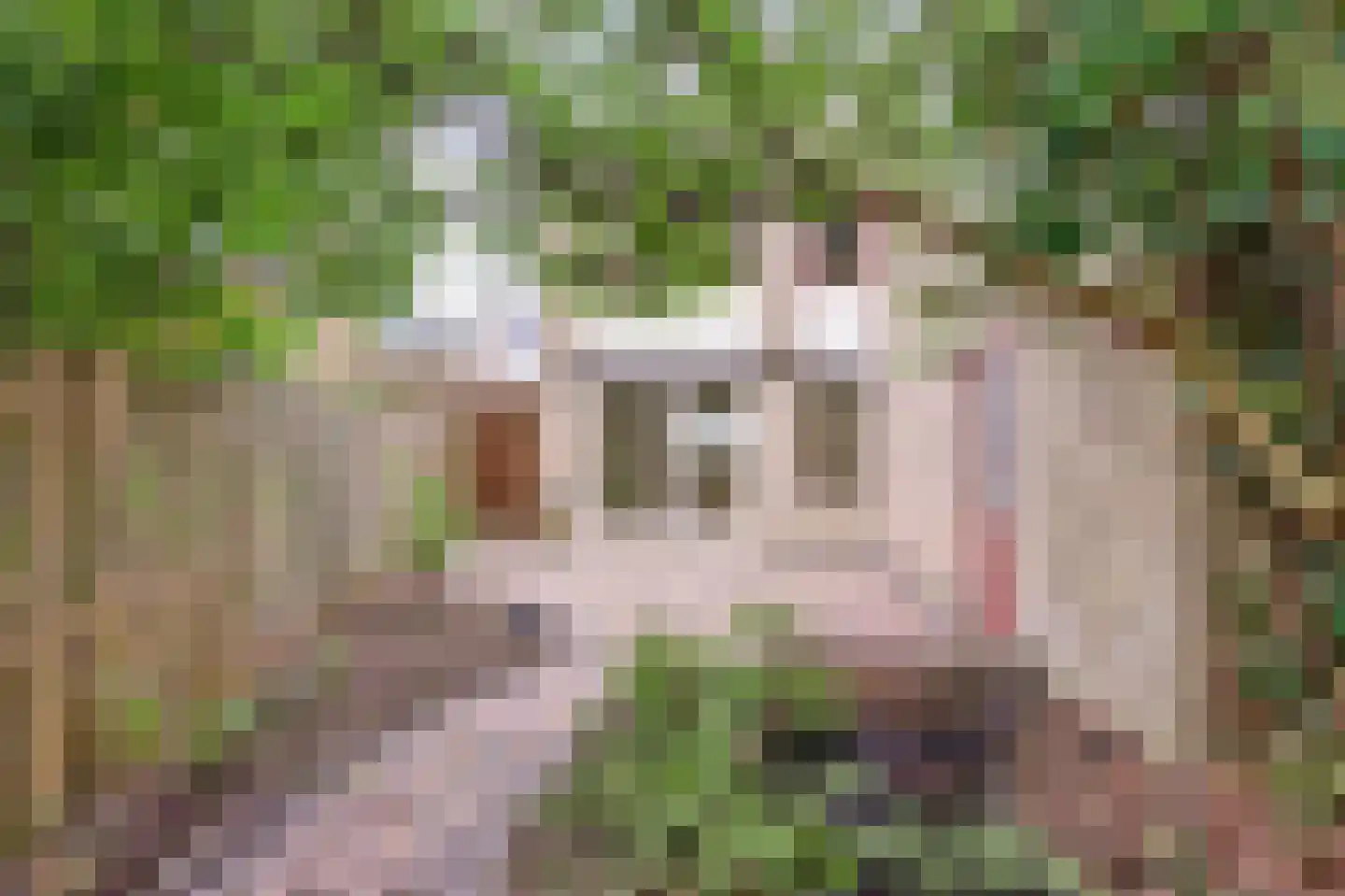 Tirol 99 Utrecht thumbnail 13
