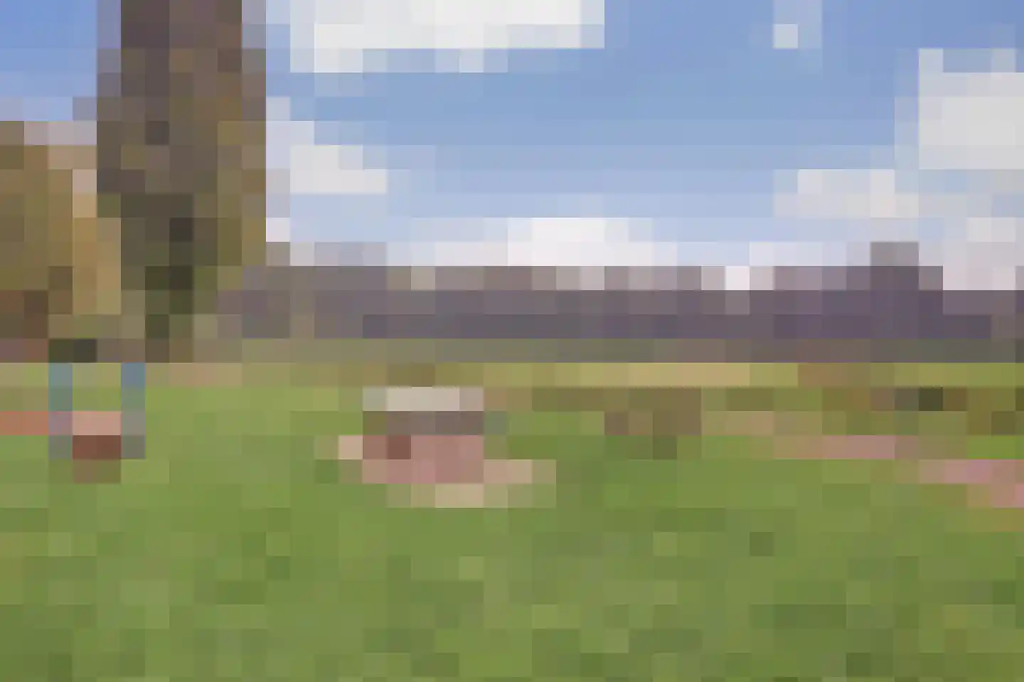 Tirol 99 Utrecht thumbnail 25