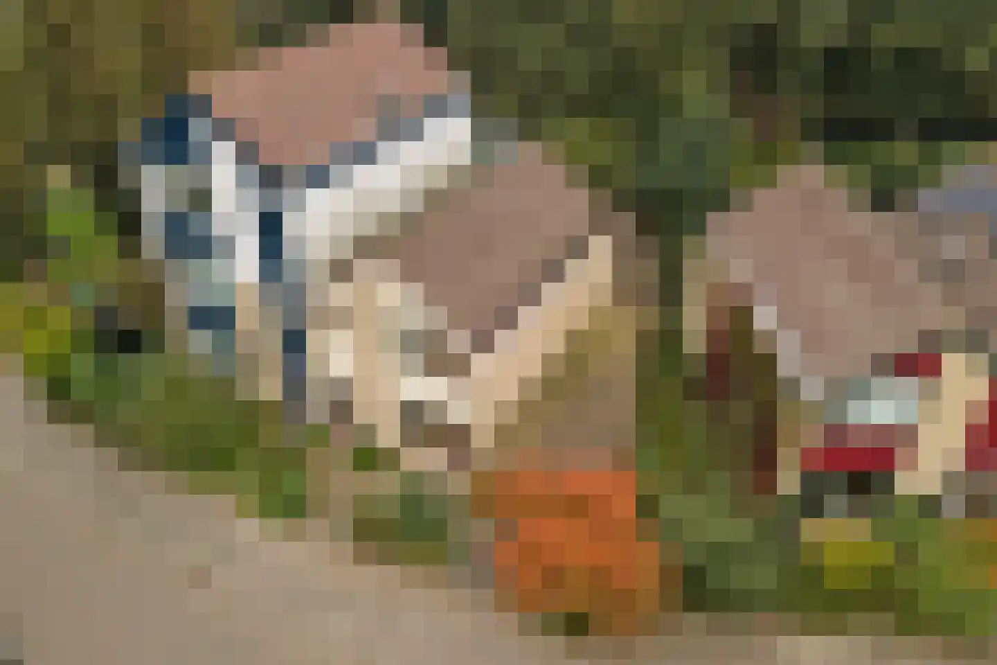 Tirol 99 Utrecht thumbnail 27