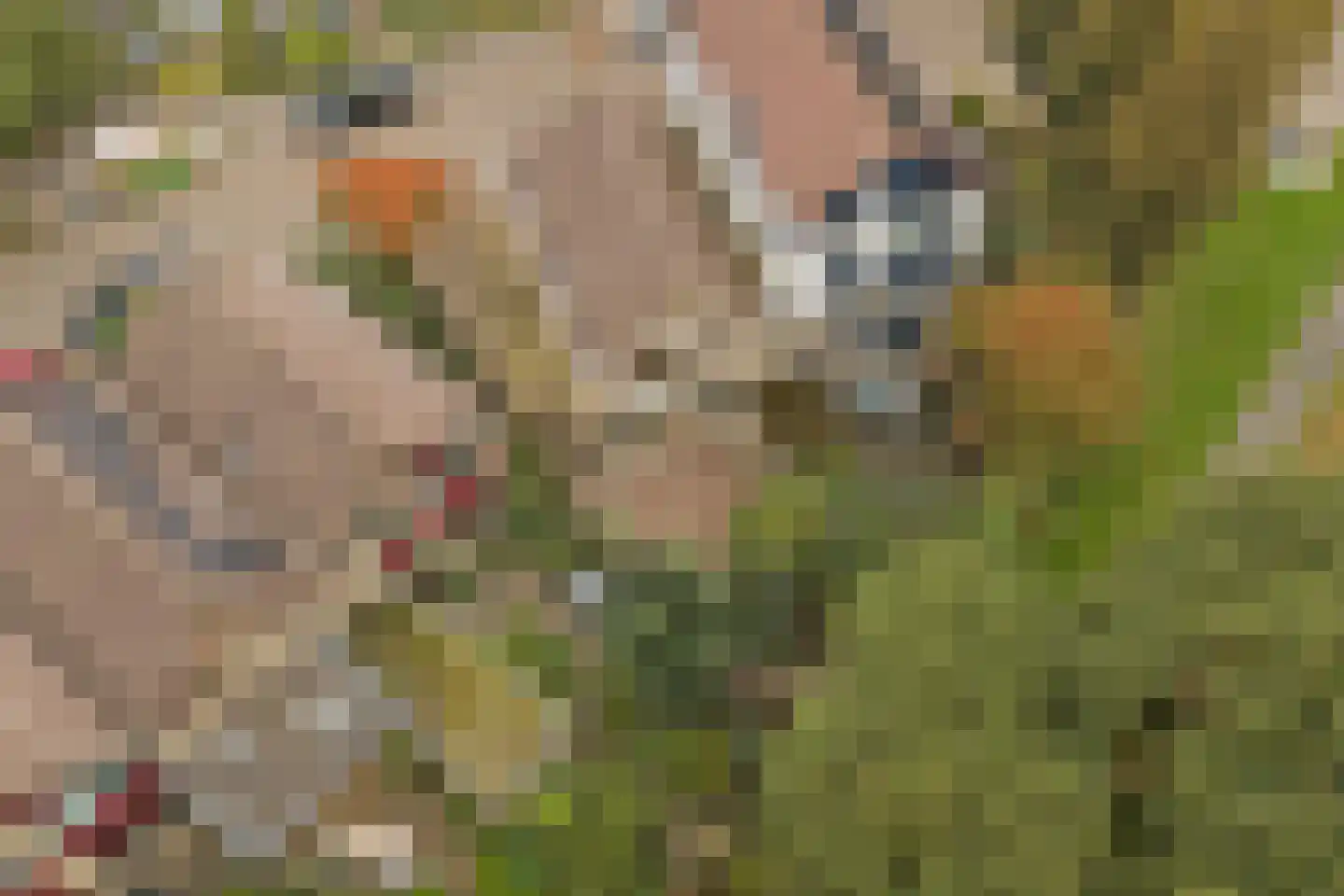 Tirol 99 Utrecht thumbnail 32