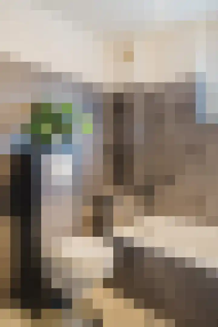 Tirolstraat 101 Alkmaar thumbnail 27