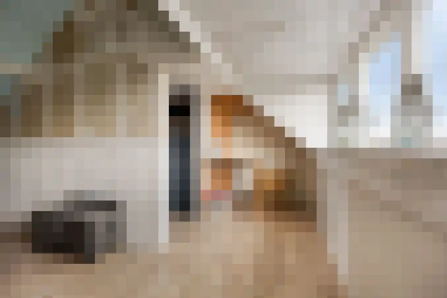 Tirolstraat 57 Alkmaar thumbnail 22