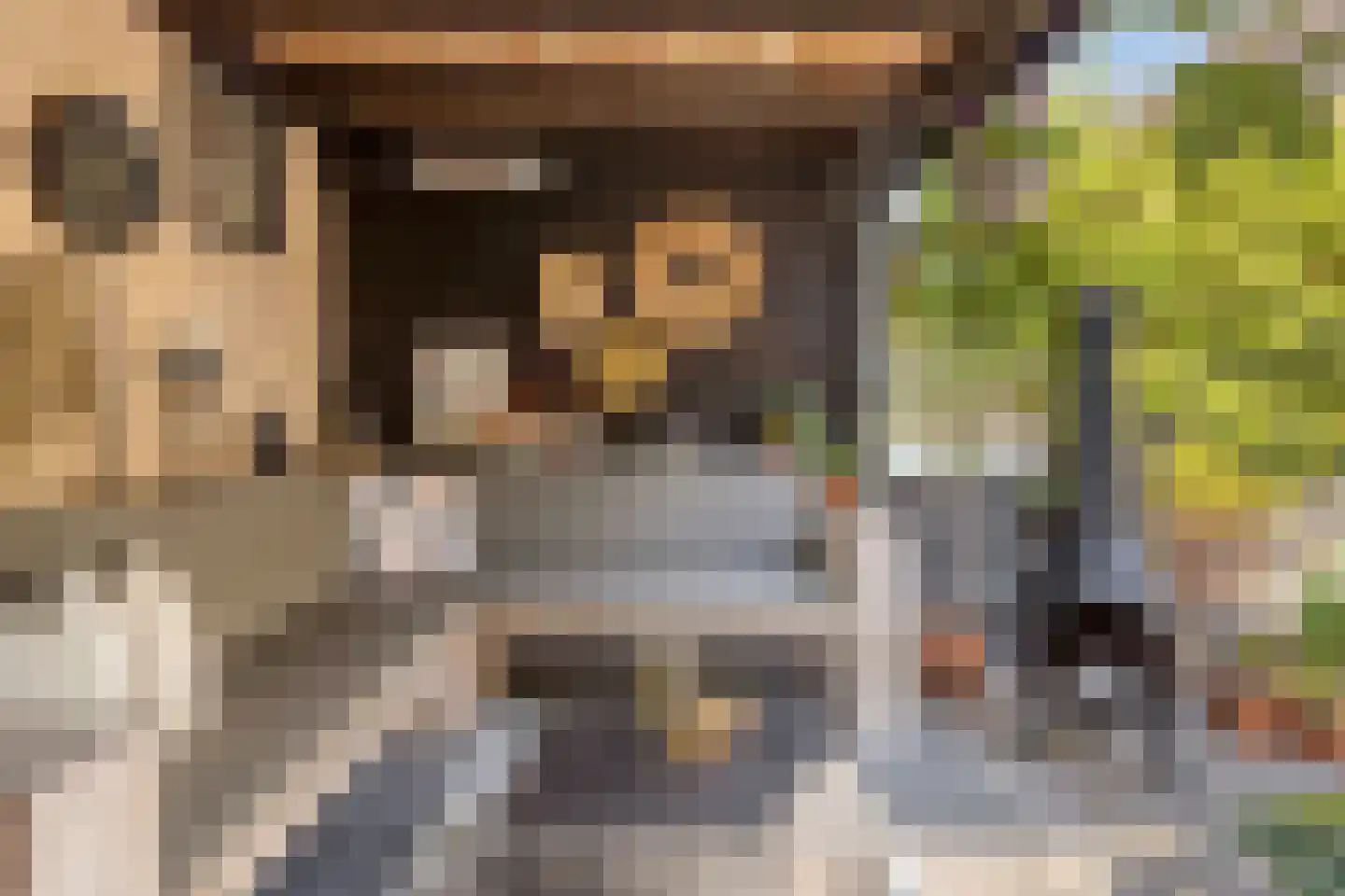 Tirolstraat 95 Alkmaar thumbnail 24