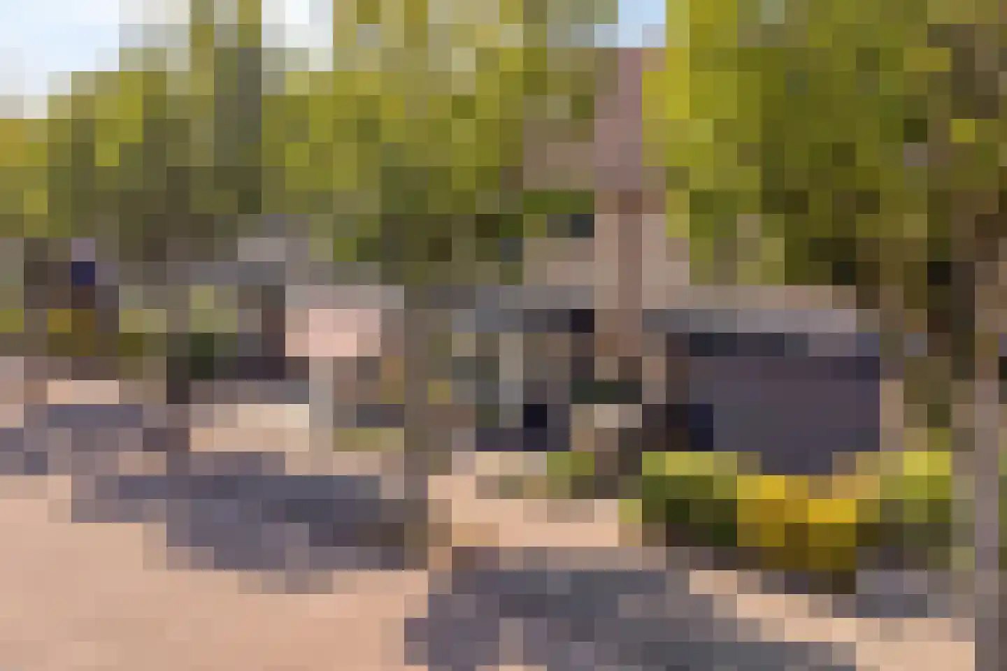 Tirolstraat 95 Alkmaar thumbnail 28