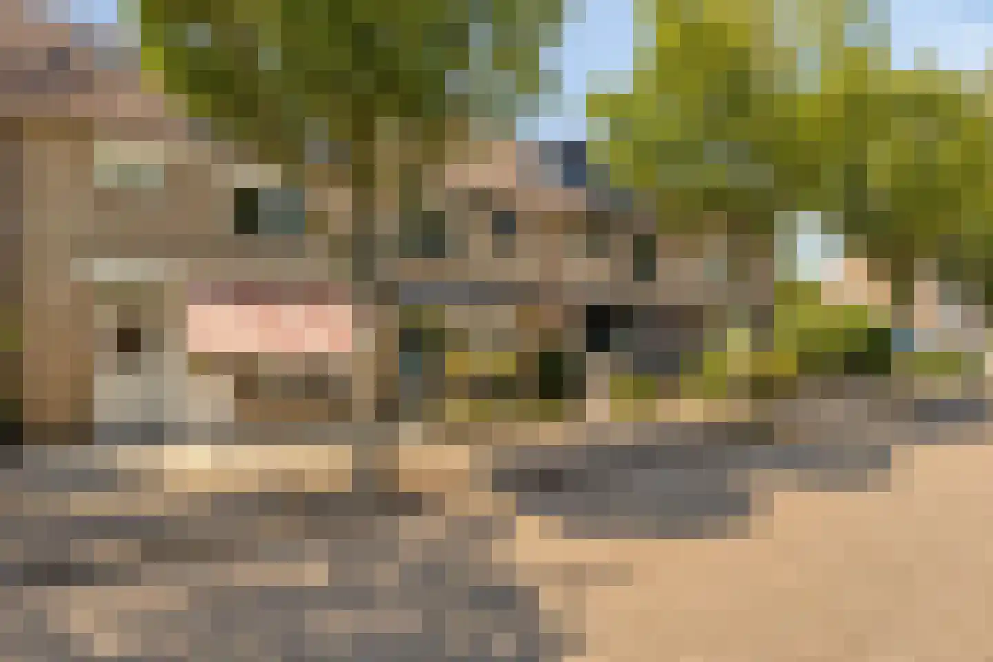 Tirolstraat 95 Alkmaar thumbnail 30