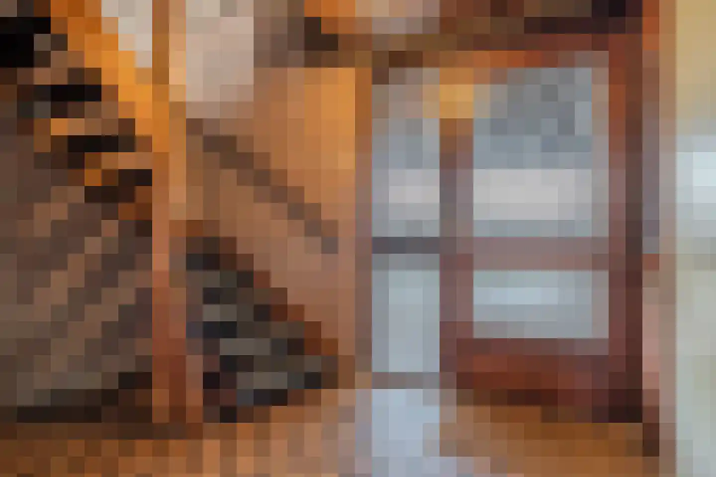 Tiros 16 Hoogezand thumbnail 11