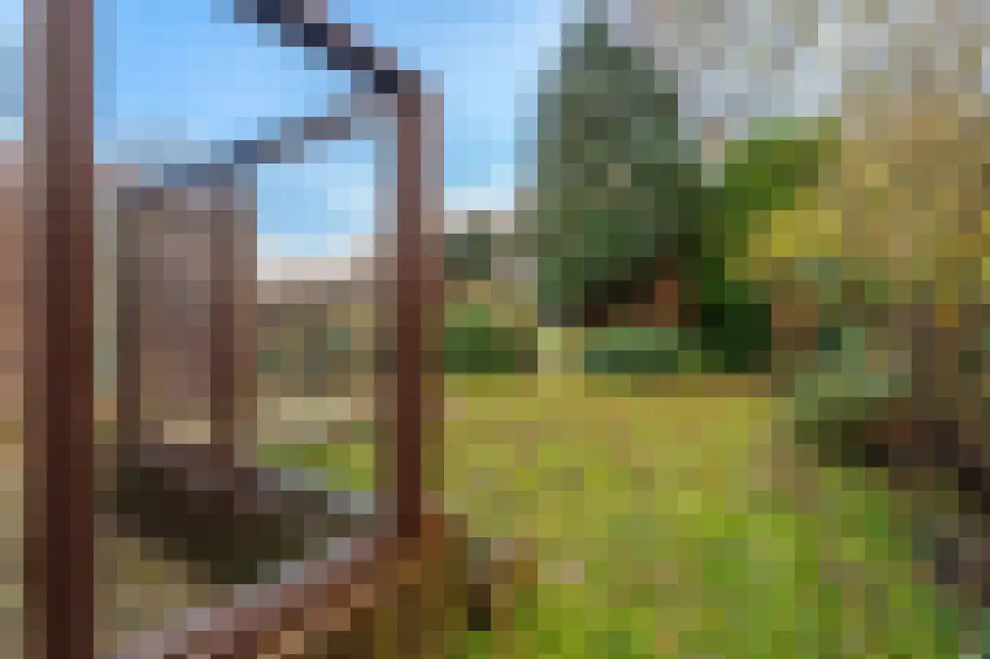 Tiros 16 Hoogezand thumbnail 31