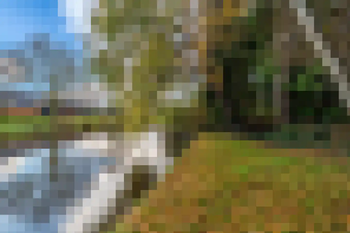 Tiros 16 Hoogezand thumbnail 36
