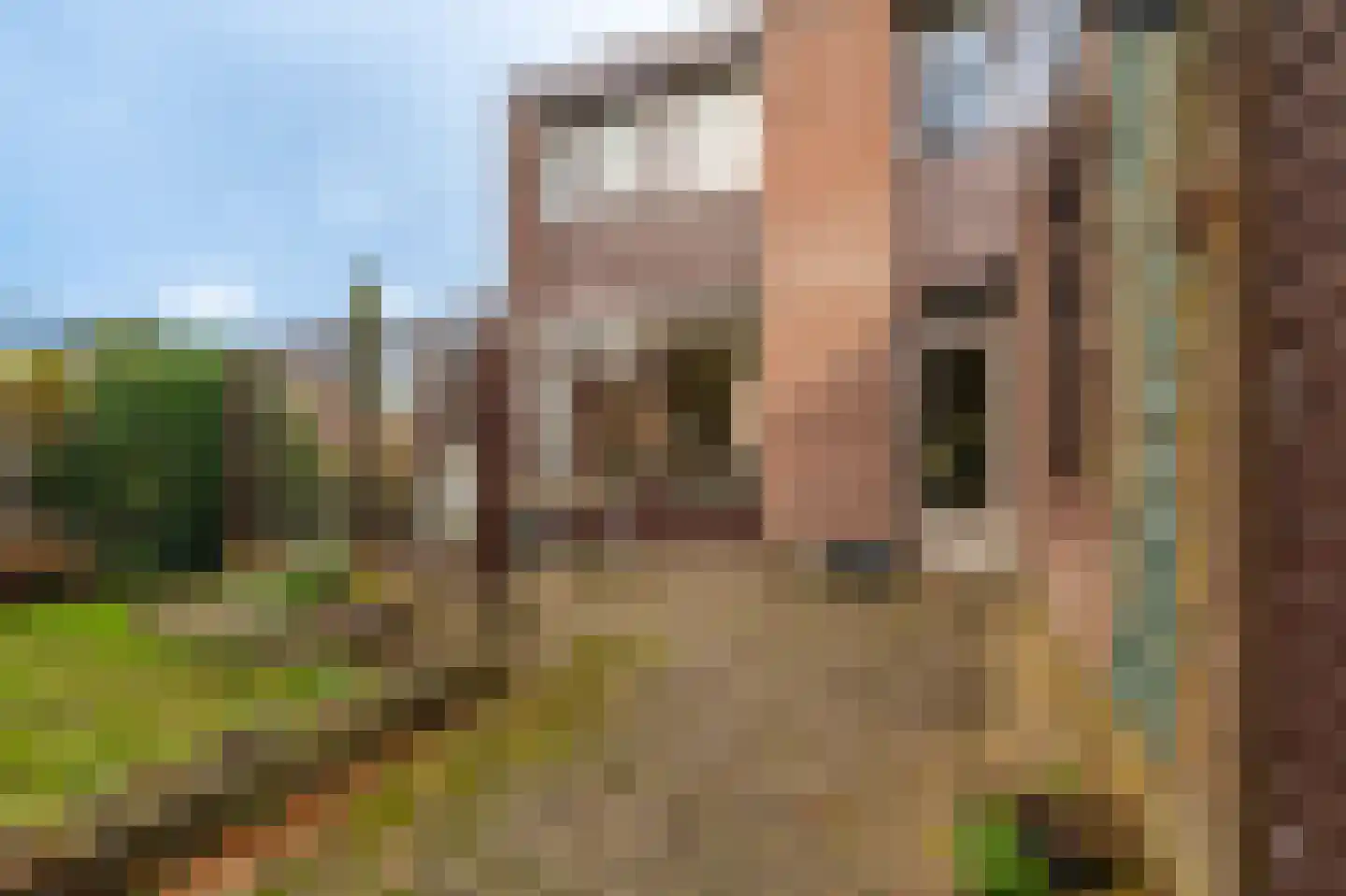 Tiros 16 Hoogezand thumbnail 38
