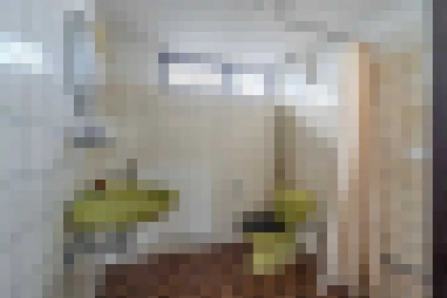 Tiros 16 Hoogezand thumbnail 51
