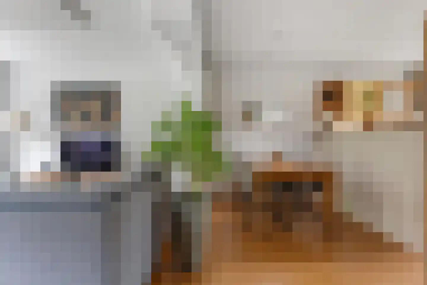 Tiros 30 Hoogezand thumbnail 13