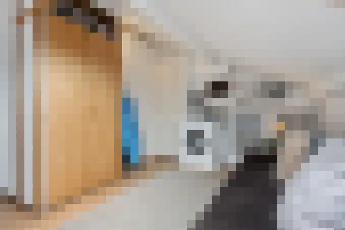 Tiros 30 Hoogezand thumbnail 29