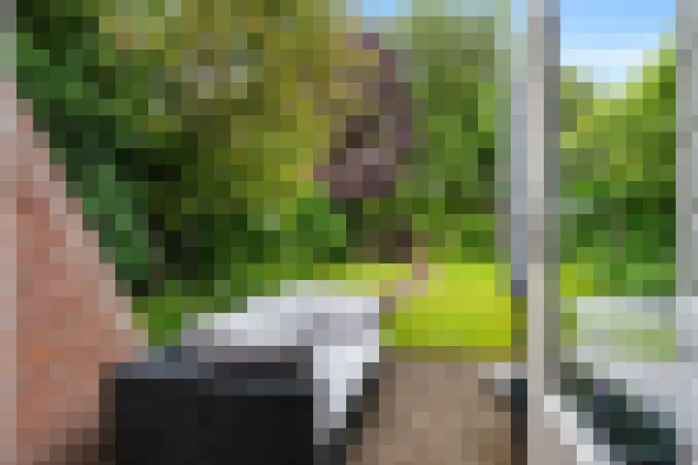Tiros 30 Hoogezand thumbnail 32