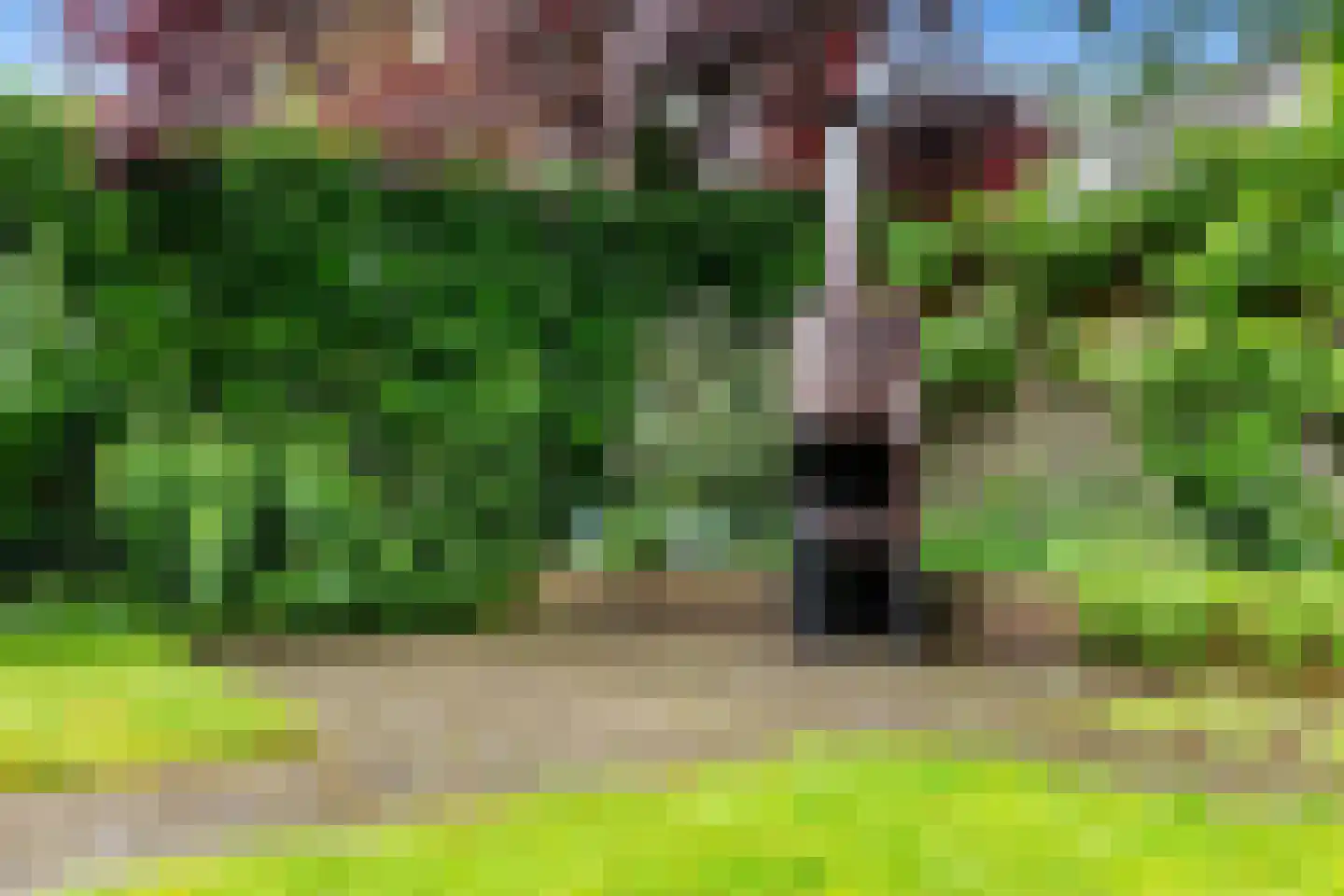 Tiros 30 Hoogezand thumbnail 36