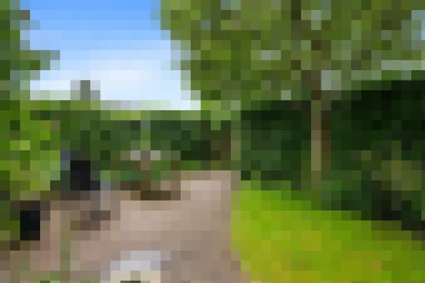 Tiros 30 Hoogezand thumbnail 40