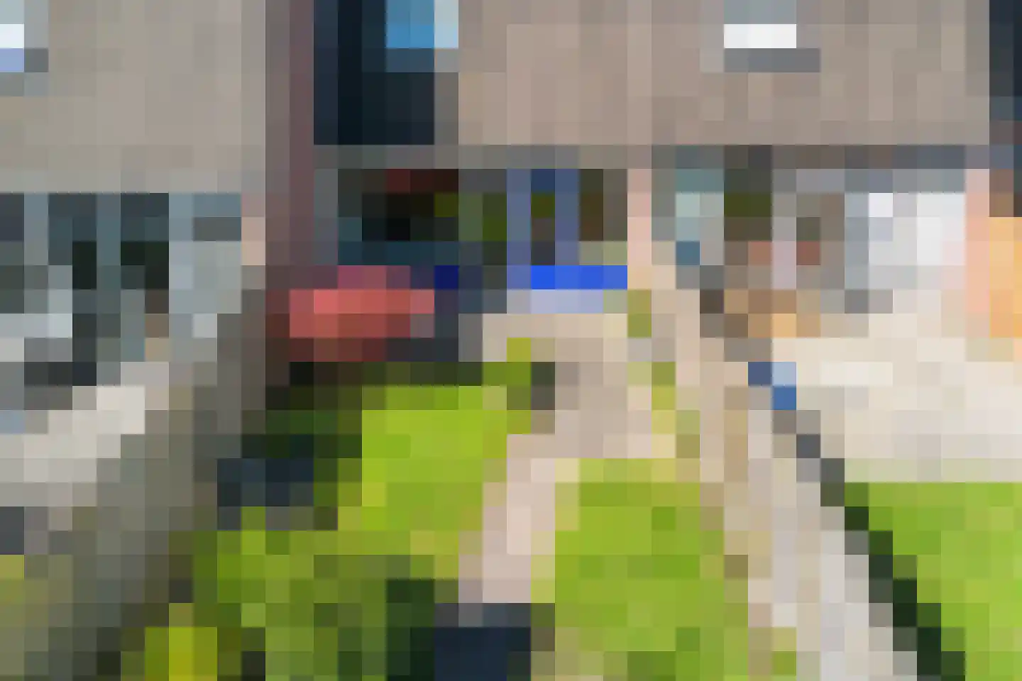 Tiros 36 Hoogezand thumbnail 49