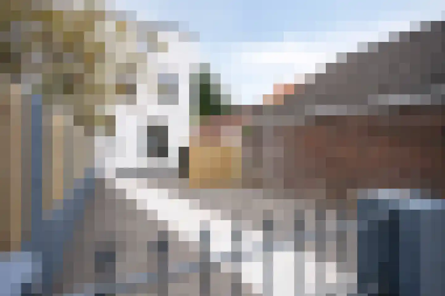 Tischbeinstraat 2 A 01 Maastricht thumbnail 11