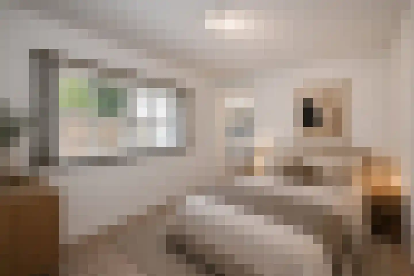 Tischbeinstraat 2 A02 Maastricht thumbnail 8