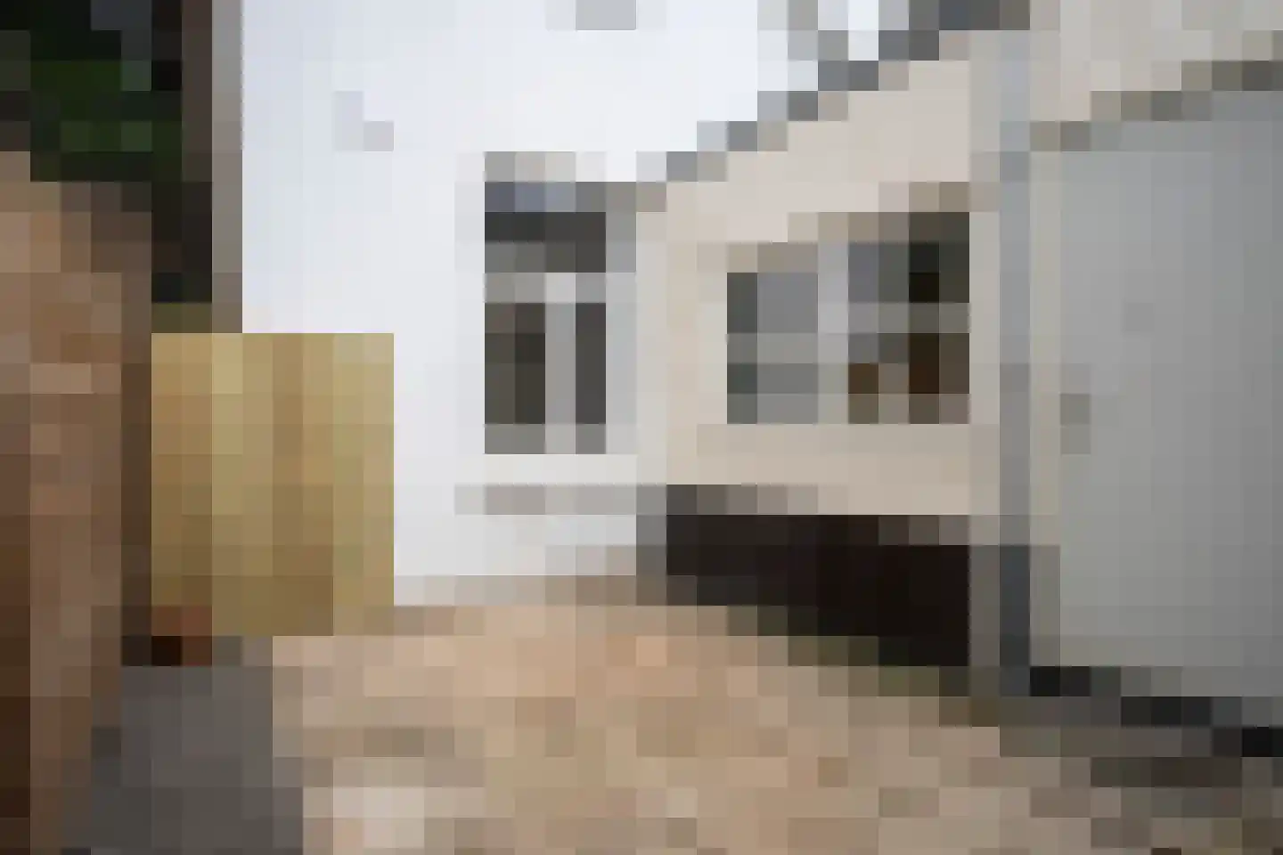 Tischbeinstraat 2 A02 Maastricht thumbnail 9