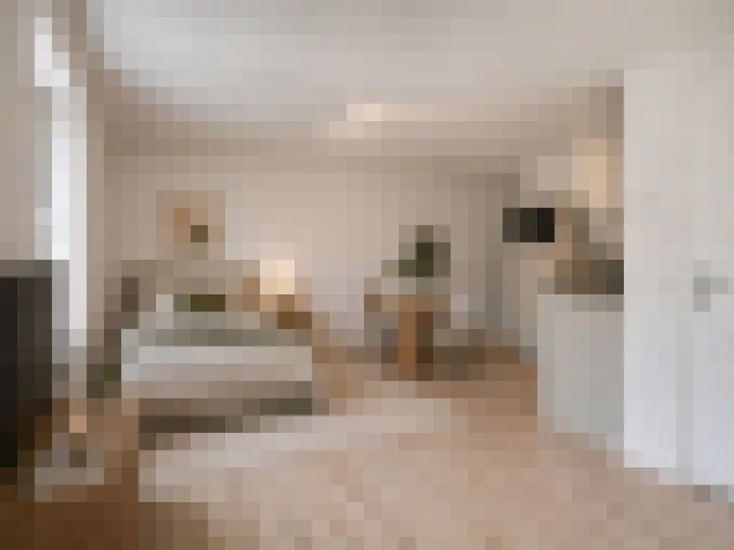 Tischbeinstraat 2 B01 Maastricht thumbnail 6