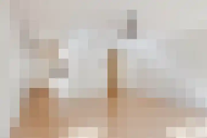Tischbeinstraat 6 B 01 Maastricht thumbnail 11