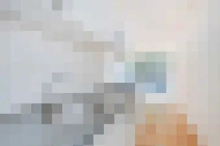 Tischbeinstraat 6 B 01 Maastricht thumbnail 13