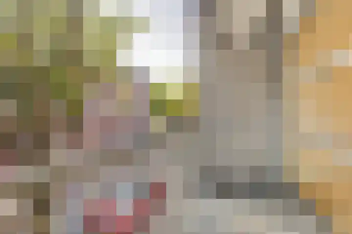 Tischbeinstraat 6 B 01 Maastricht thumbnail 17