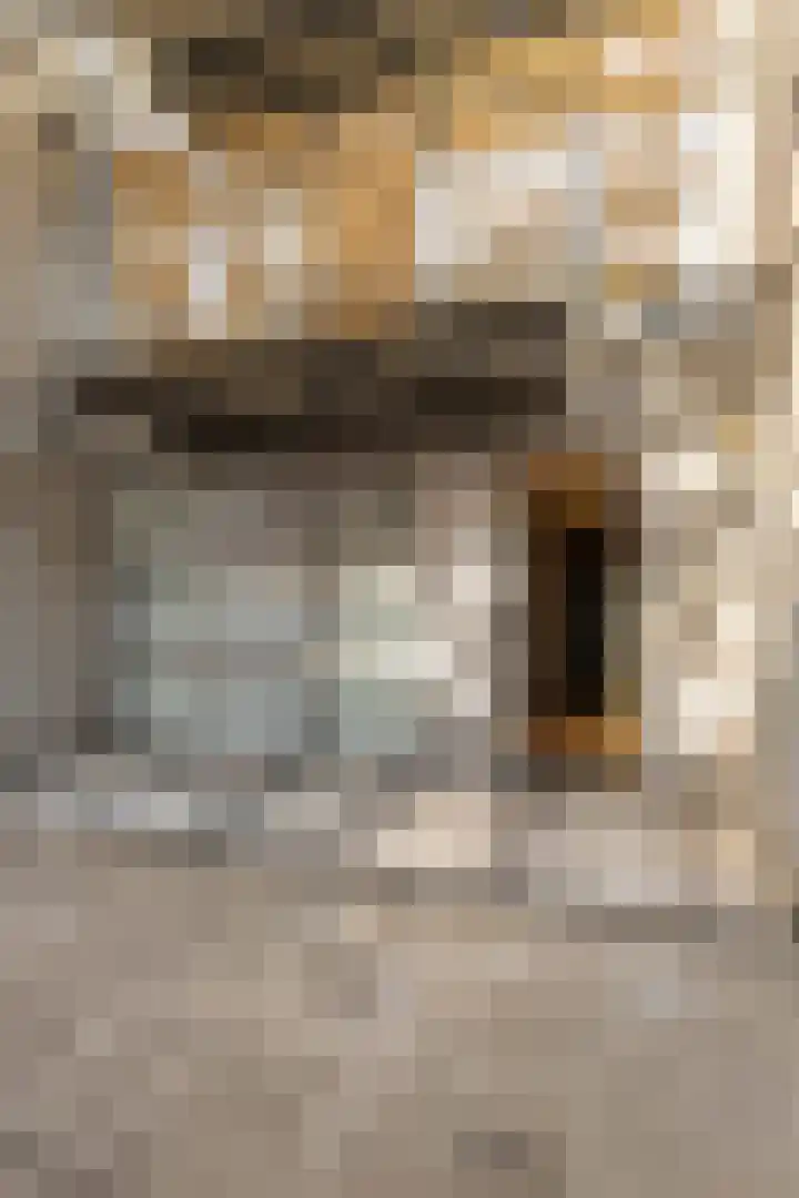 Tischbeinstraat 6 B 01 Maastricht thumbnail 27