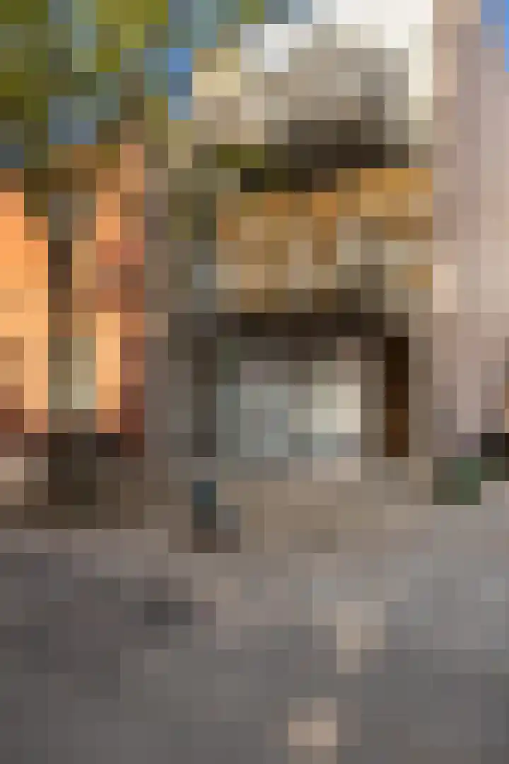 Tischbeinstraat 6 B 01 Maastricht thumbnail 28