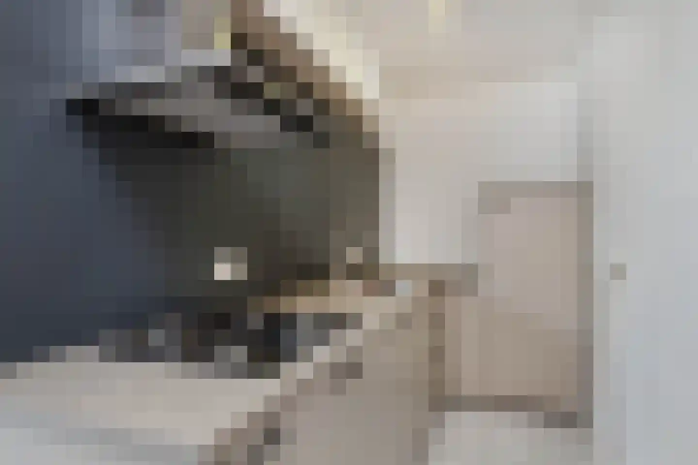 Tischbeinstraat 6 B 02 Maastricht thumbnail 4