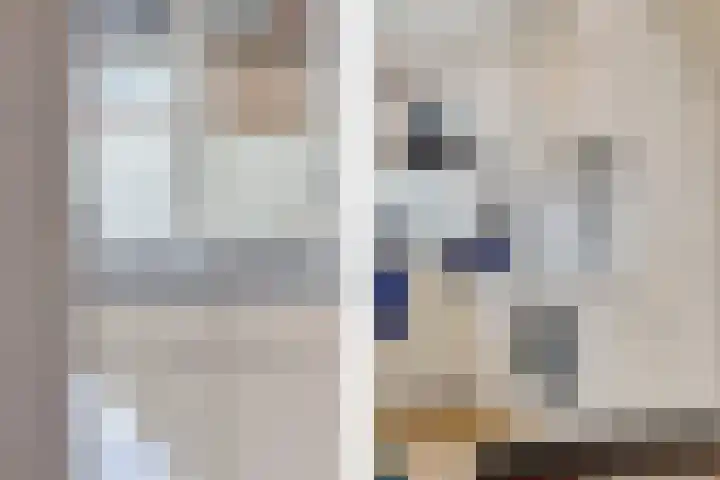 Titaanwit 47 Zoetermeer thumbnail 16