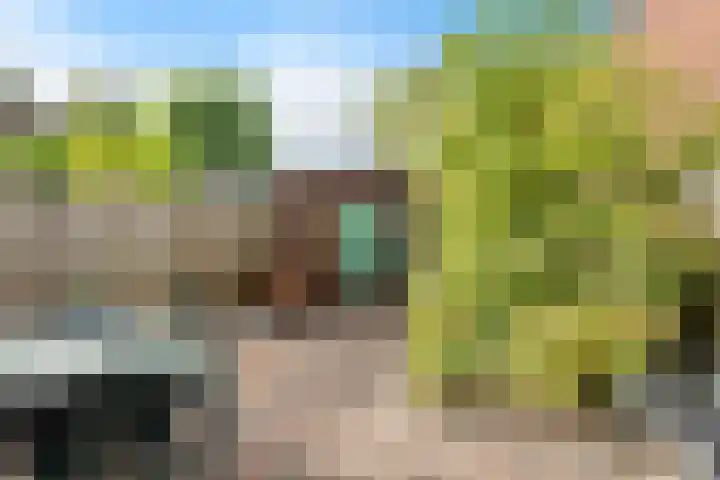 Titaanwit 47 Zoetermeer thumbnail 18