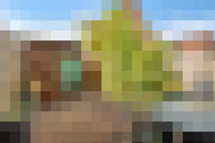 Titaanwit 47 Zoetermeer thumbnail 19