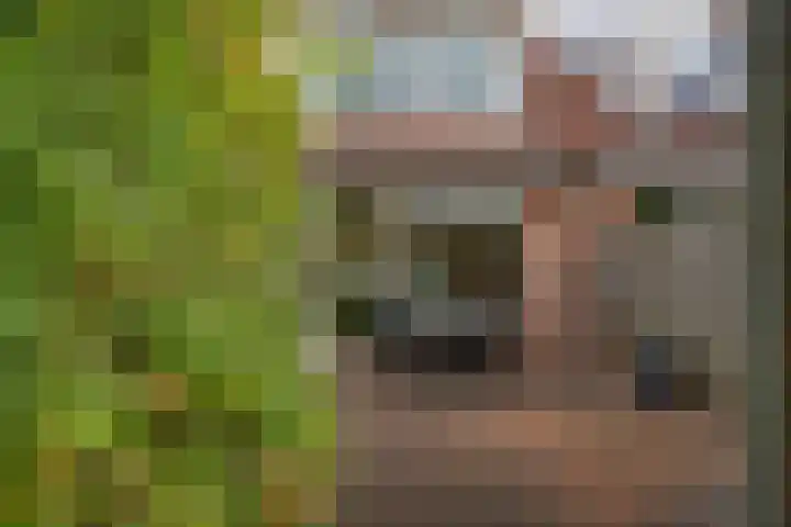 Titaanwit 47 Zoetermeer thumbnail 20