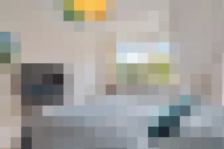 Titaanwit 47 Zoetermeer thumbnail 26
