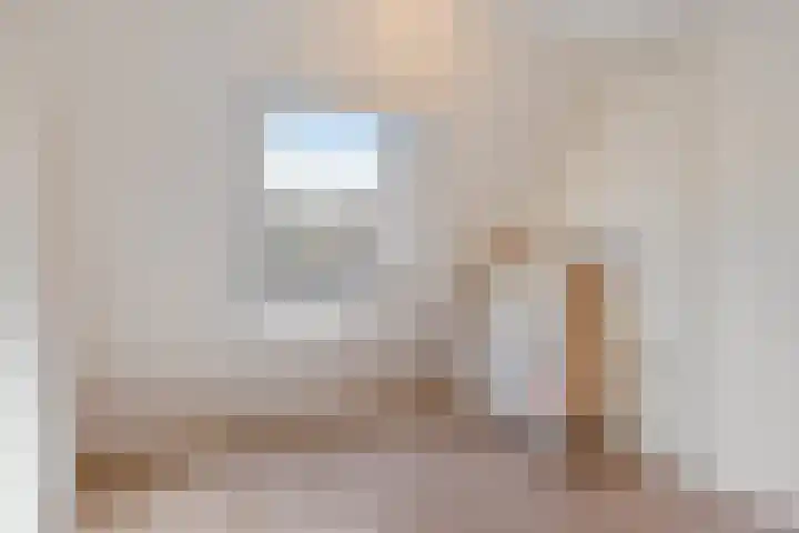 Titaanwit 47 Zoetermeer thumbnail 30
