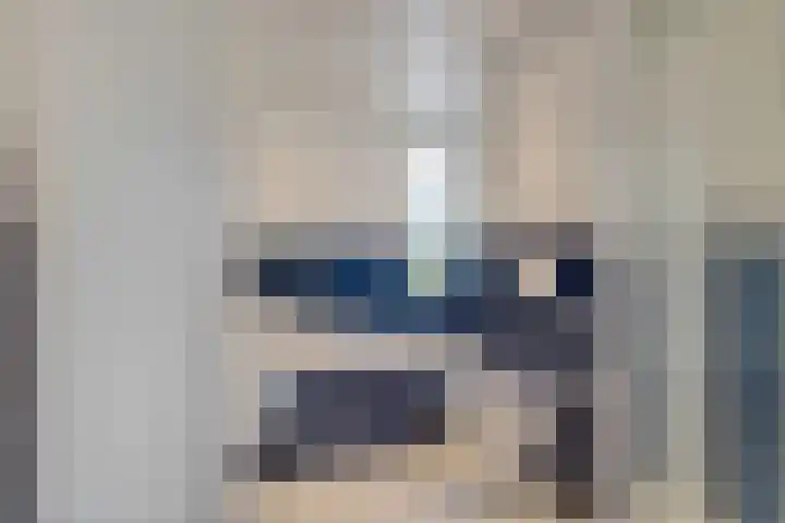 Titaanwit 47 Zoetermeer thumbnail 34