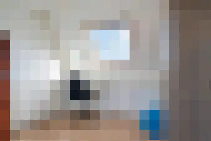 Titaanwit 47 Zoetermeer thumbnail 38