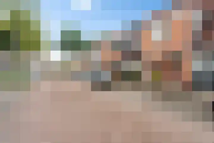 Titaanwit 47 Zoetermeer thumbnail 43