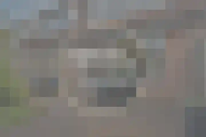 Titaanwit 47 Zoetermeer thumbnail 5