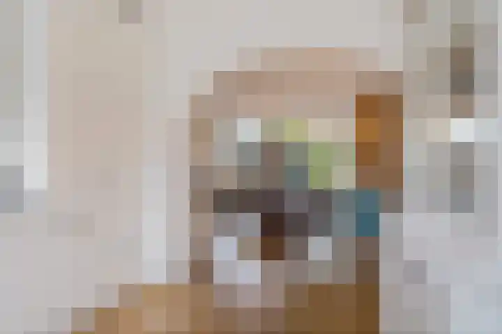 Titaanwit 47 Zoetermeer thumbnail 7