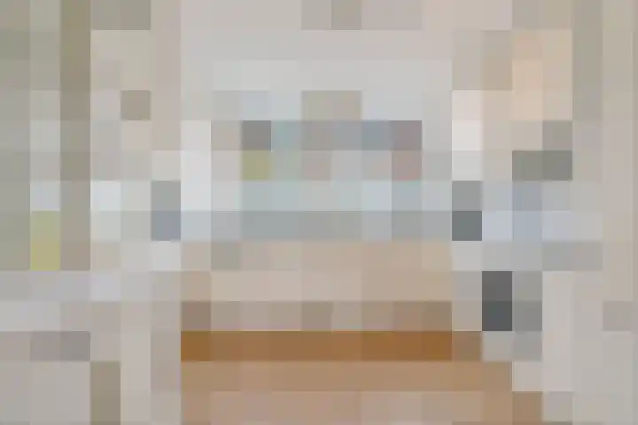 Titaanwit 47 Zoetermeer thumbnail 8