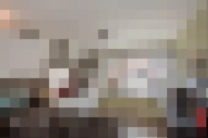 Titaanwit 50 Zoetermeer thumbnail 14