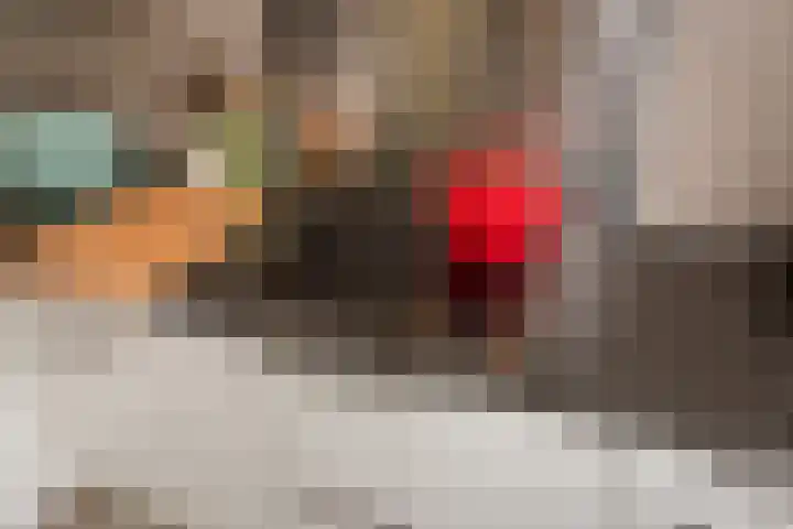 Titaanwit 50 Zoetermeer thumbnail 16