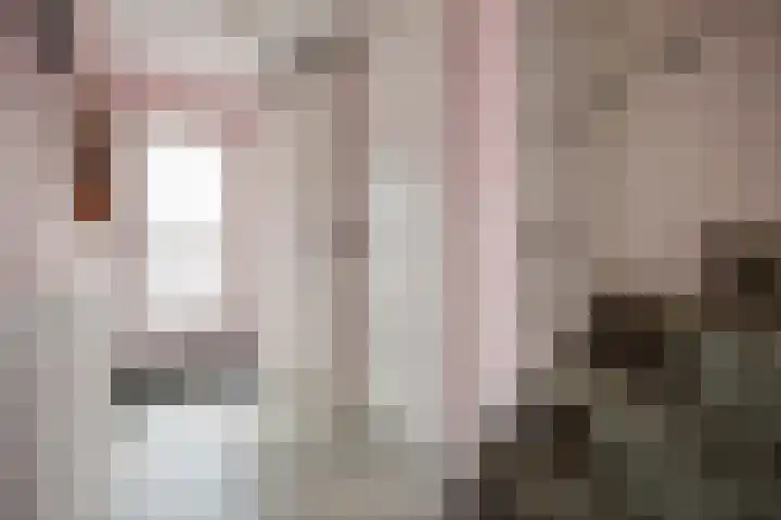 Titaanwit 50 Zoetermeer thumbnail 18
