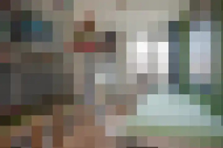 Titaanwit 50 Zoetermeer thumbnail 22