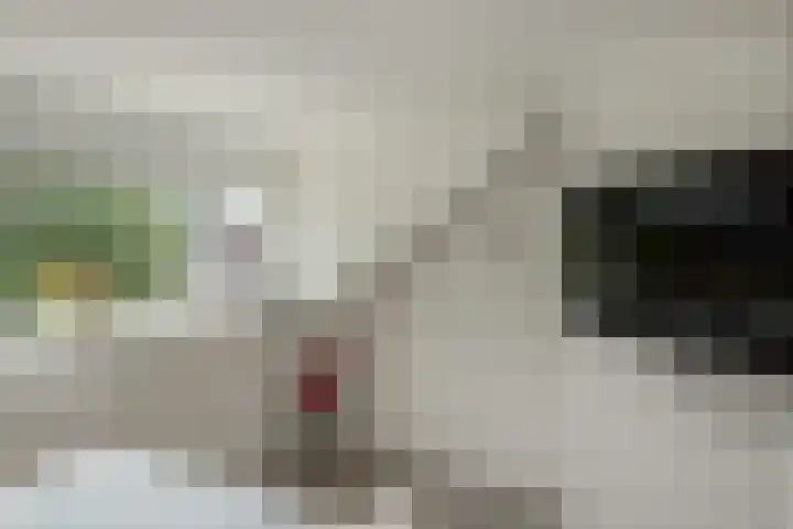 Titaanwit 50 Zoetermeer thumbnail 32
